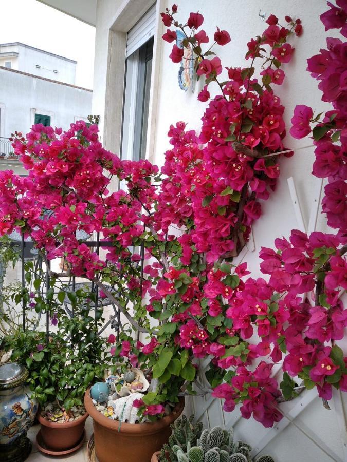 Apartament Ca Mea Alberobello Zewnętrze zdjęcie